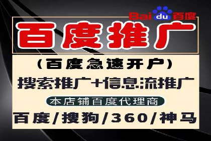 某sem代运营公司助力企业实现品牌升级